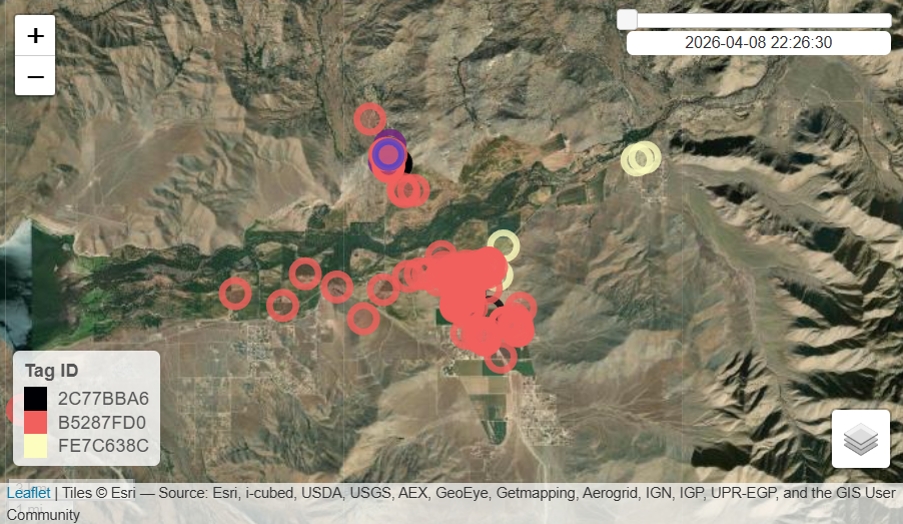 BluBird+ tag detections by cell phones in the Kern River Valley from 4/8/2026-5/18/2026